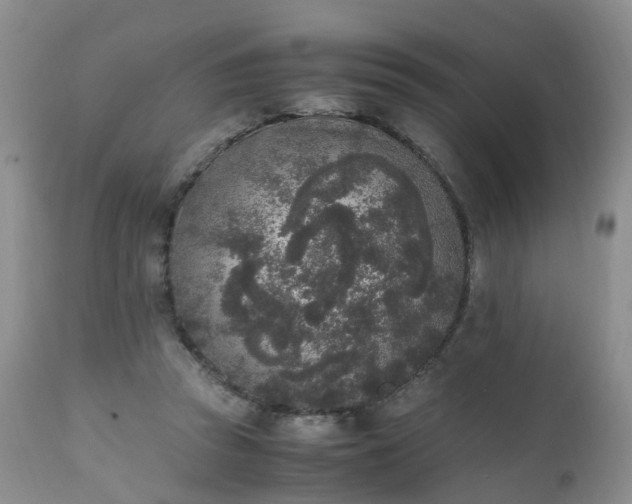 X0000111250353200907091429