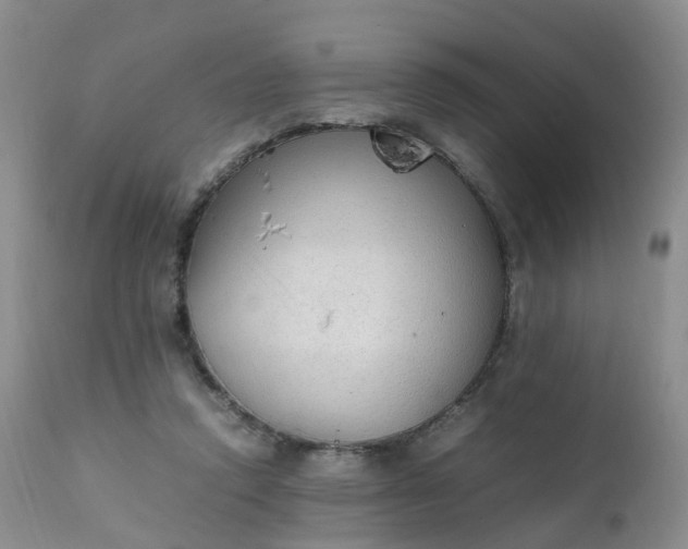 X0000111250354200907091429