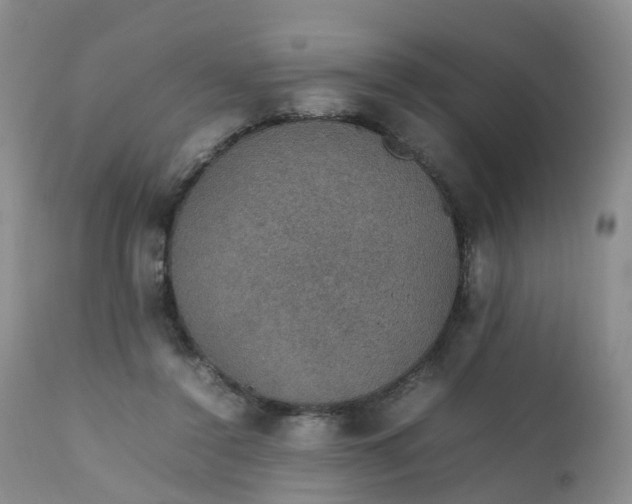 X0000111250356200907091429