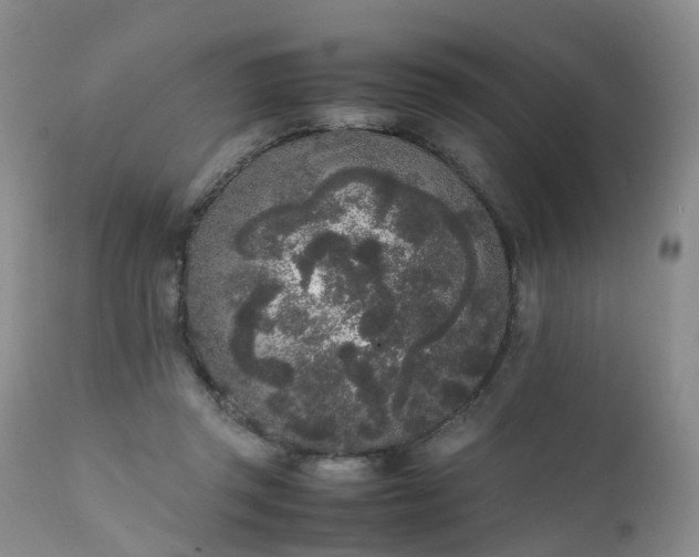 X0000111250357200907091429