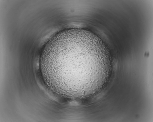 X0000111250358200907091429