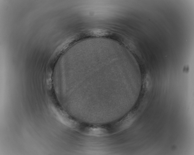 X0000111250360200907091429