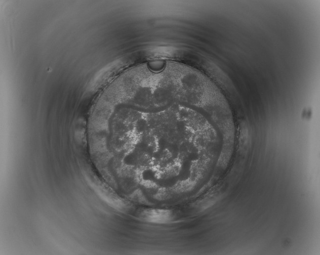 X0000111250361200907091429