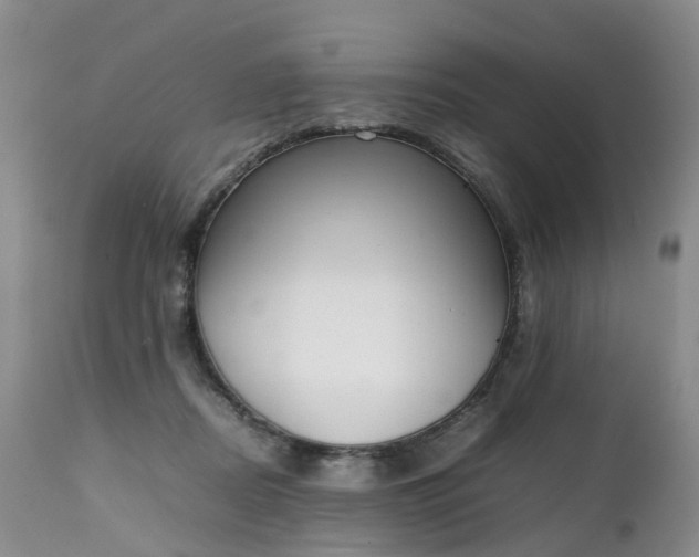 X0000111250362200907091429