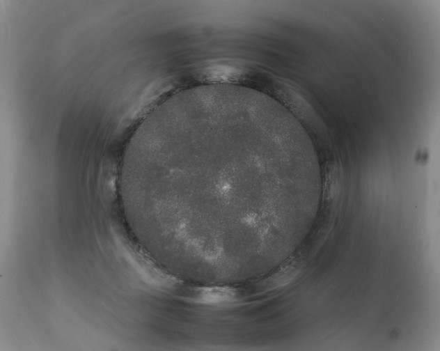 X0000111250363200907091429