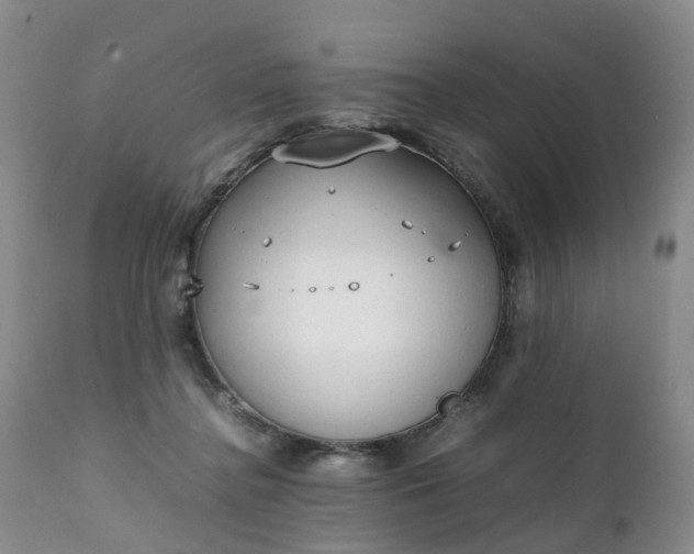 X0000111250364200907091429