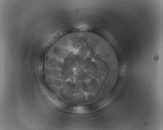 X0000111250365200907091429