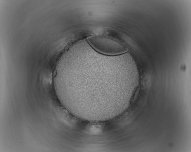 X0000111250368200907091429