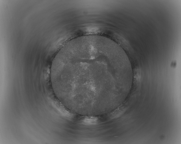 X0000111250369200907091429