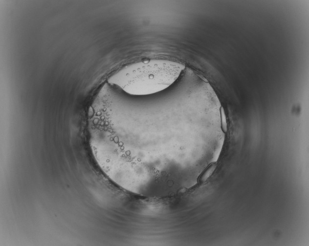 X0000111250370200907091429