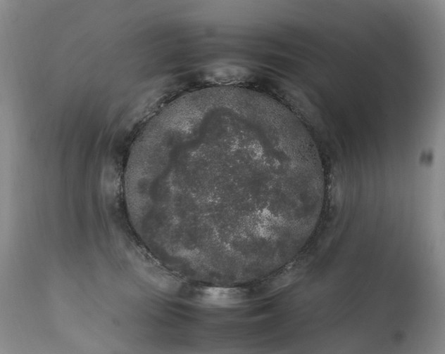 X0000111250371200907091429