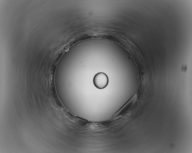 X0000111250372200907091429