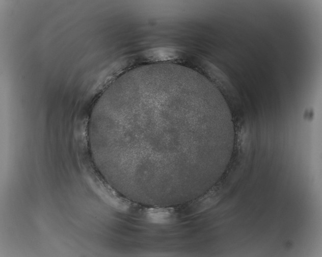 X0000111250373200907091429