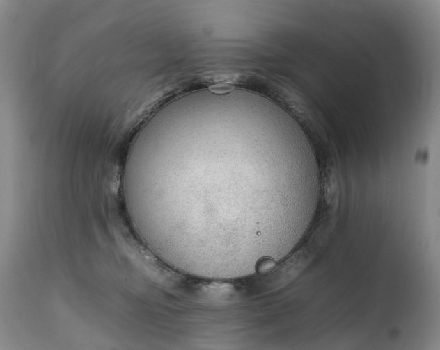 X0000111250374200907091429