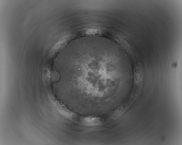 X0000111250375200907091429