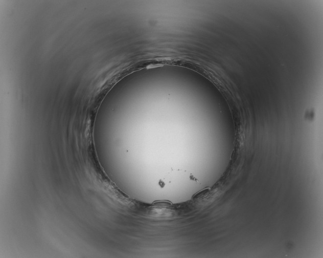 X0000111250376200907091429