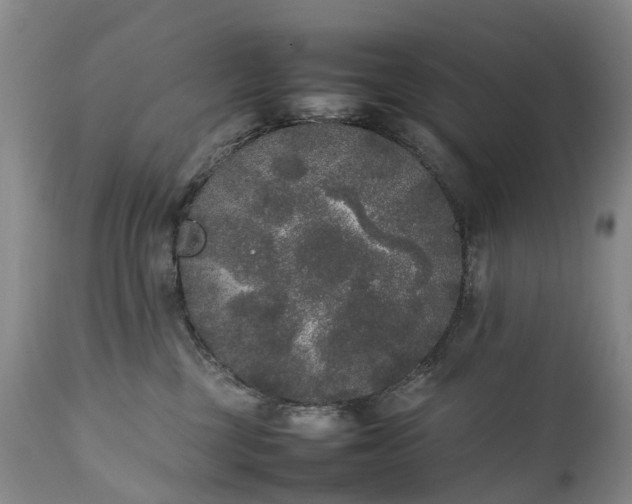 X0000111250377200907091429