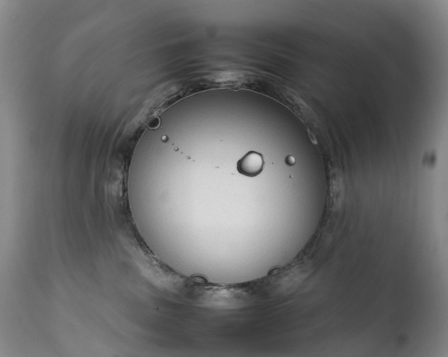 X0000111250379200907091429