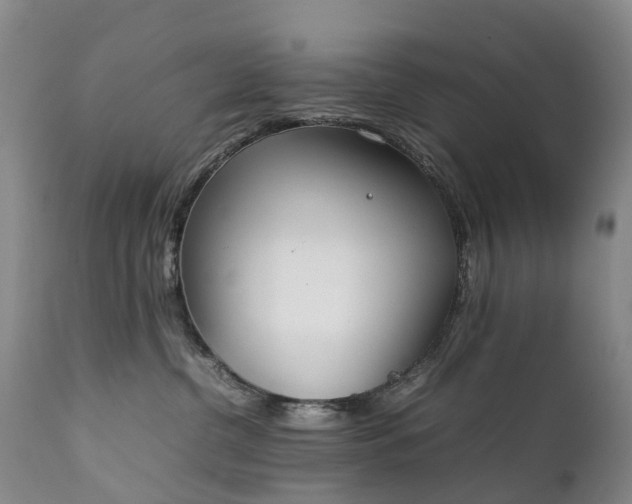 X0000111250380200907091429