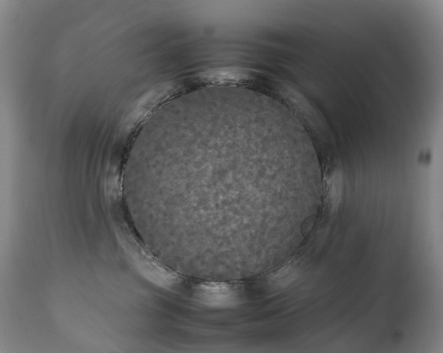 X0000111250381200907091429