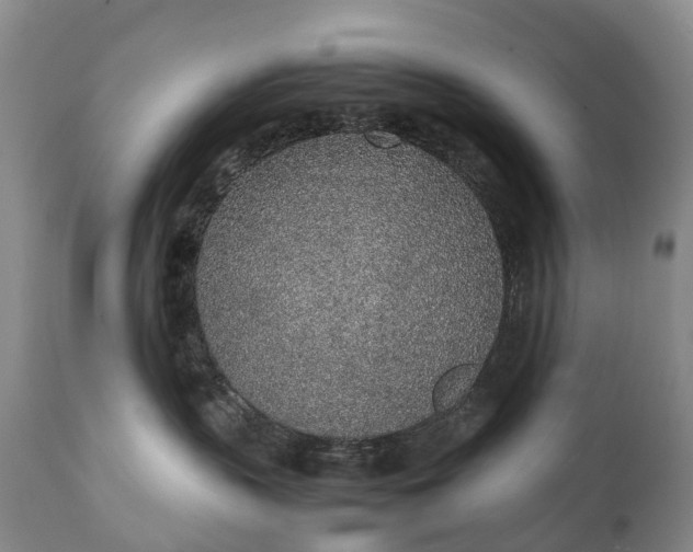 X0000111250383200907091429