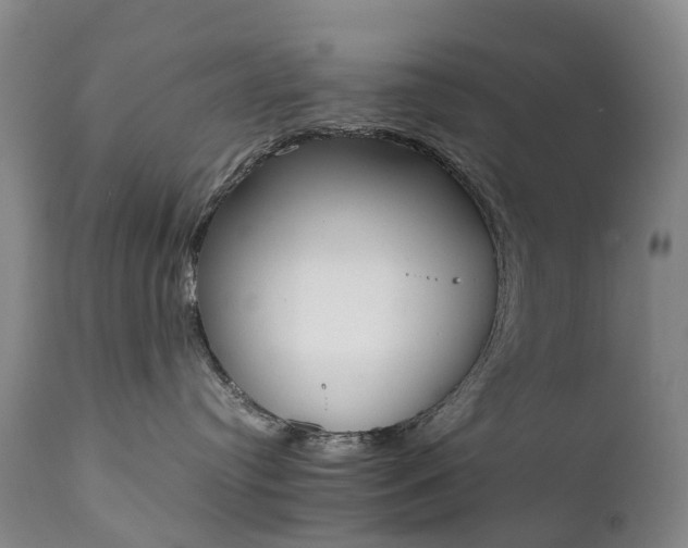 X0000111250384200907091429