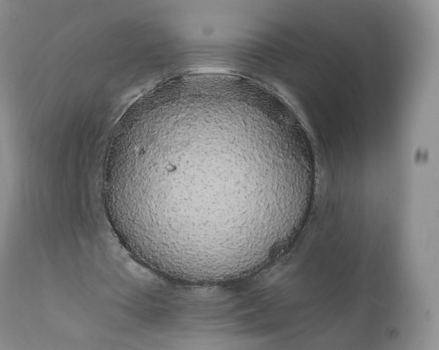 X0000111250385200907091429