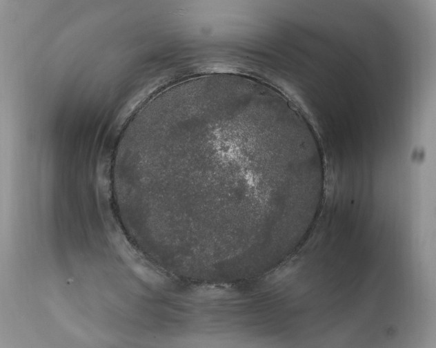 X0000111250386200907091429