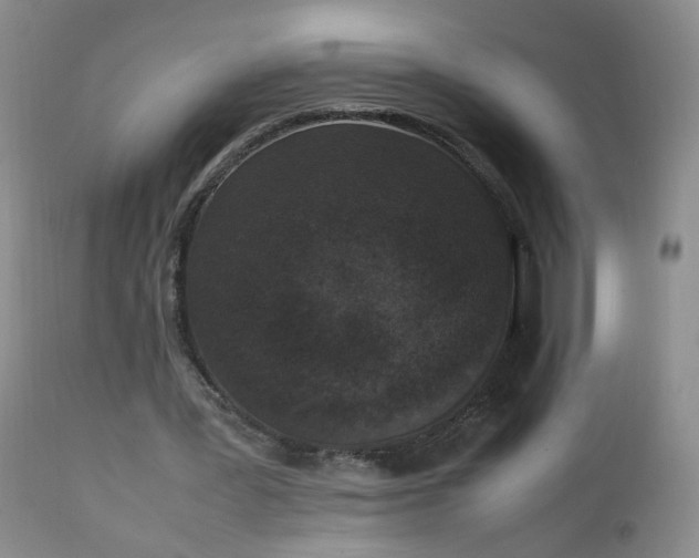 X0000111250387200907091429