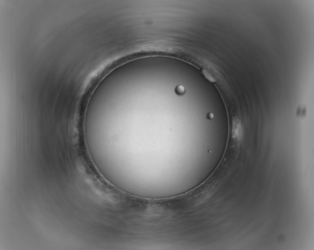 X0000111250388200907091429