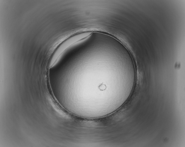 X0000111250389200907091429