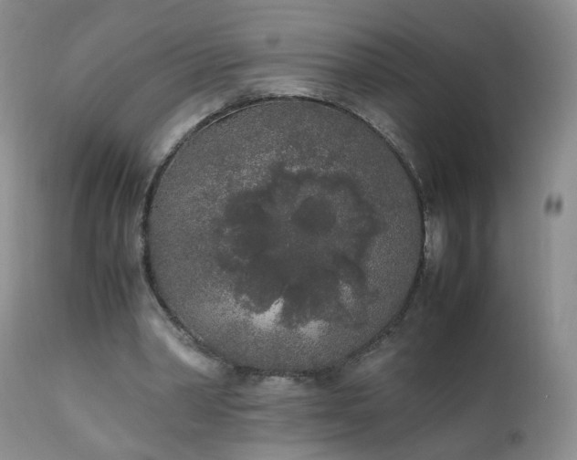 X0000111250390200907091429