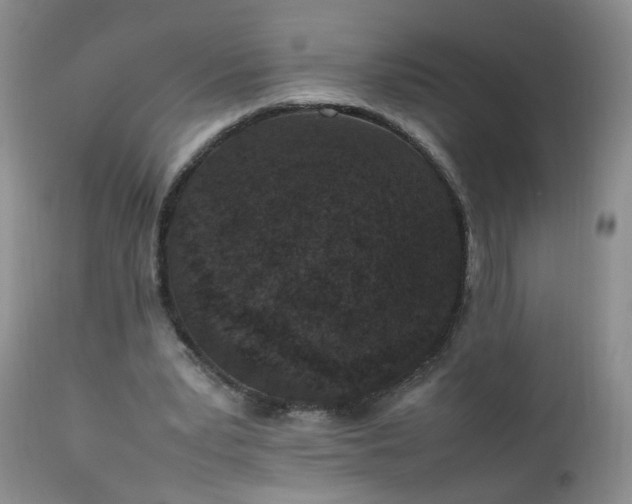 X0000111250391200907091429