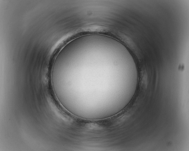 X0000111250392200907091429