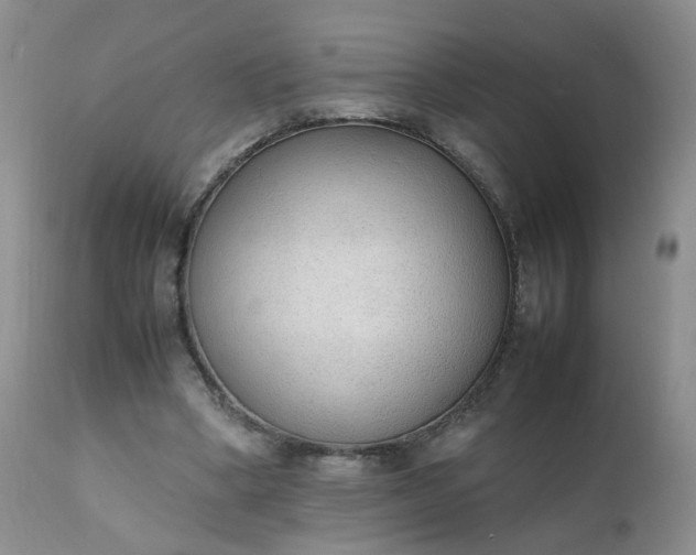 X0000111250394200907091429