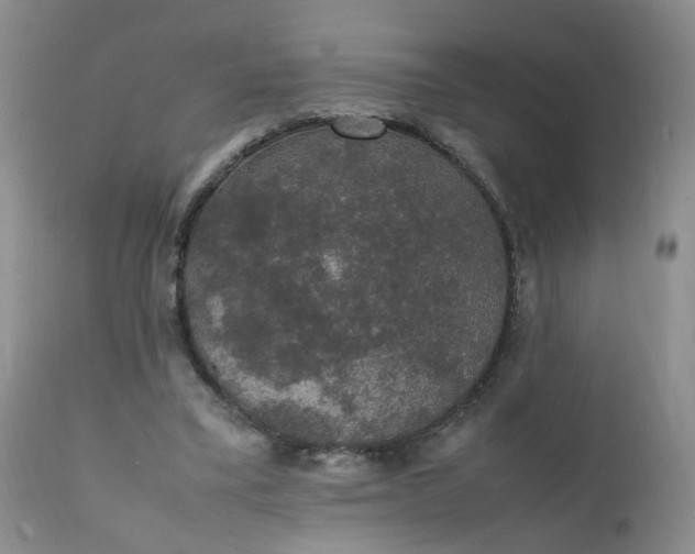 X0000111250395200907091429