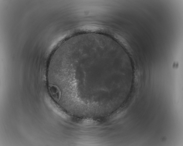 X0000111250399200907091428