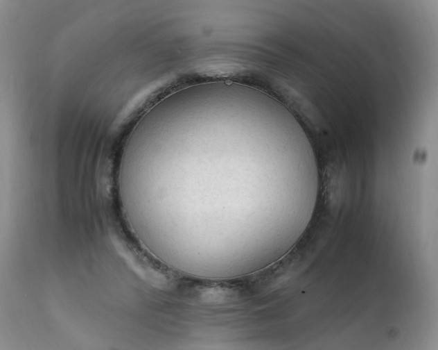 X0000111250400200907091428