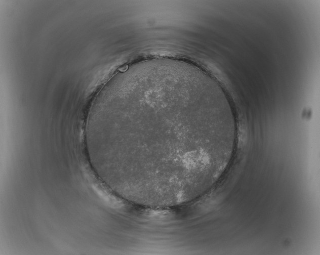 X0000111250401200907091428