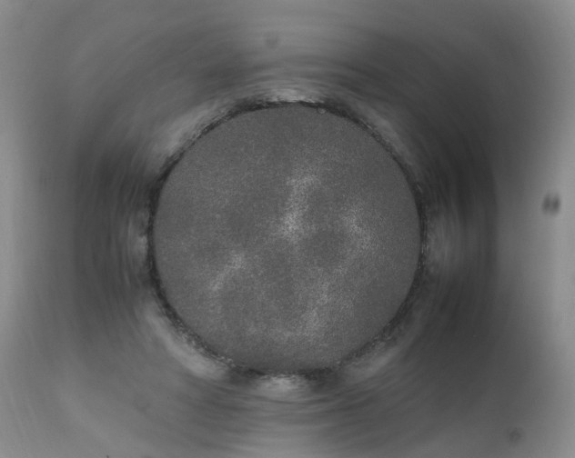 X0000111250402200907091428