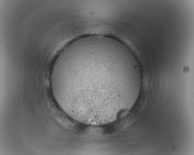 X0000111250403200907091428