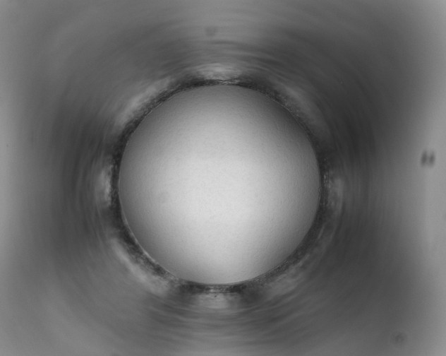 X0000111250404200907091428