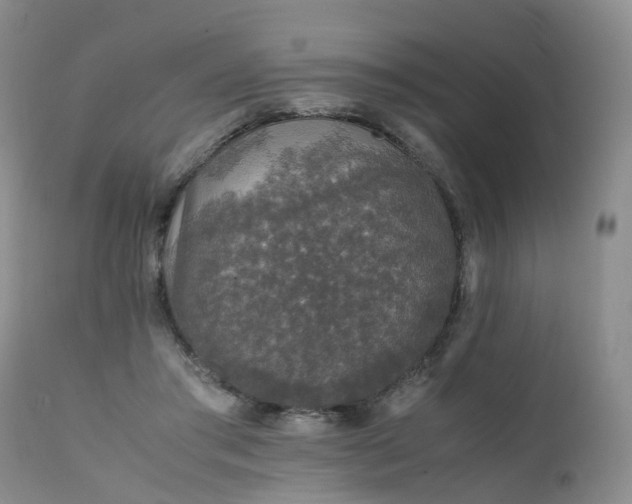 X0000111250405200907091428