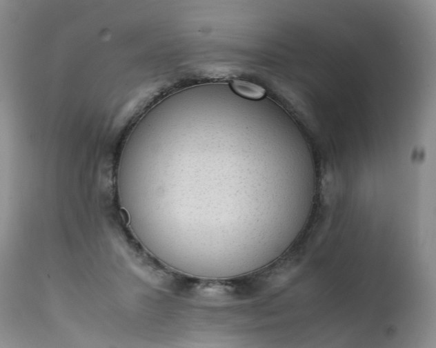 X0000111250407200907091428