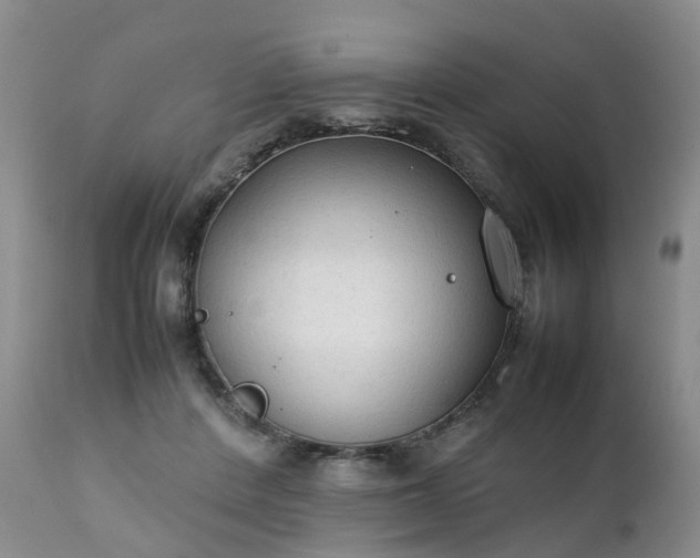 X0000111250408200907091428