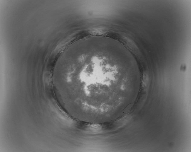 X0000111250409200907091428