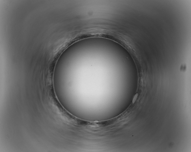 X0000111250411200907091428