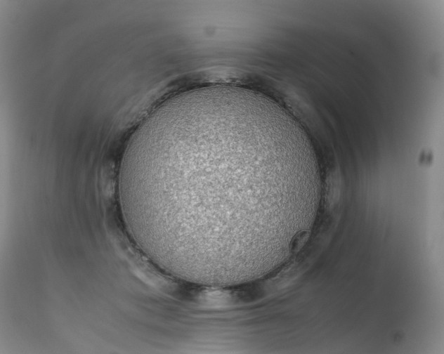 X0000111250413200907091428