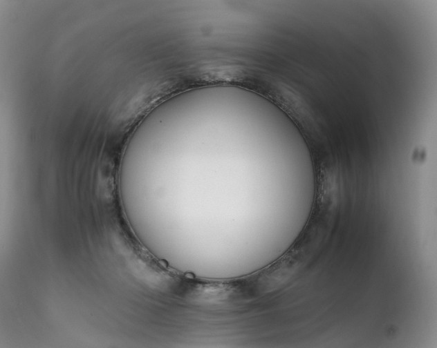 X0000111250414200907091428