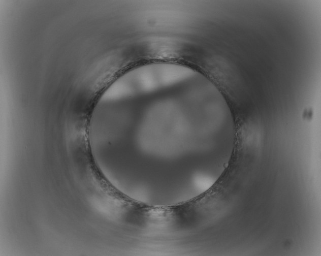 X0000111250415200907091428